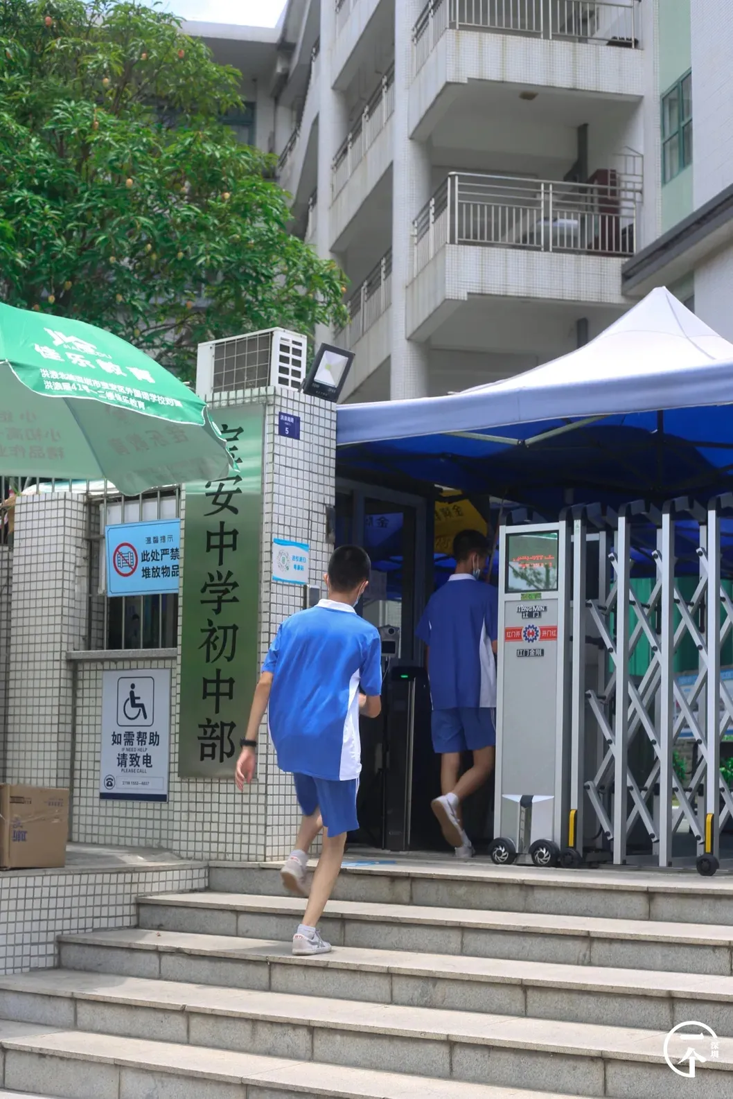 深圳市|深圳妹子勇闯洪浪北租房市场，被中介痛骂！