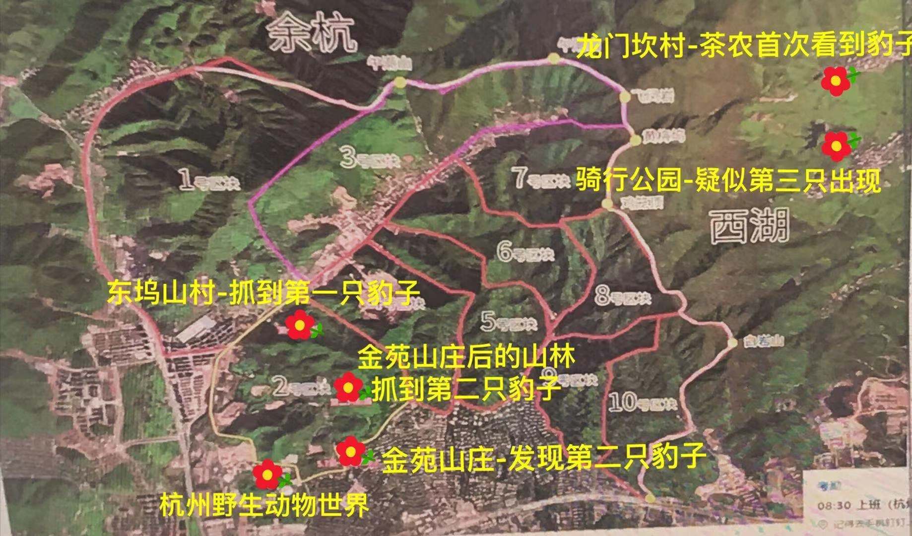 杭州|杭州金钱豹逃亡7月，责任人已判刑，说好的活要见豹死要见尸呢？