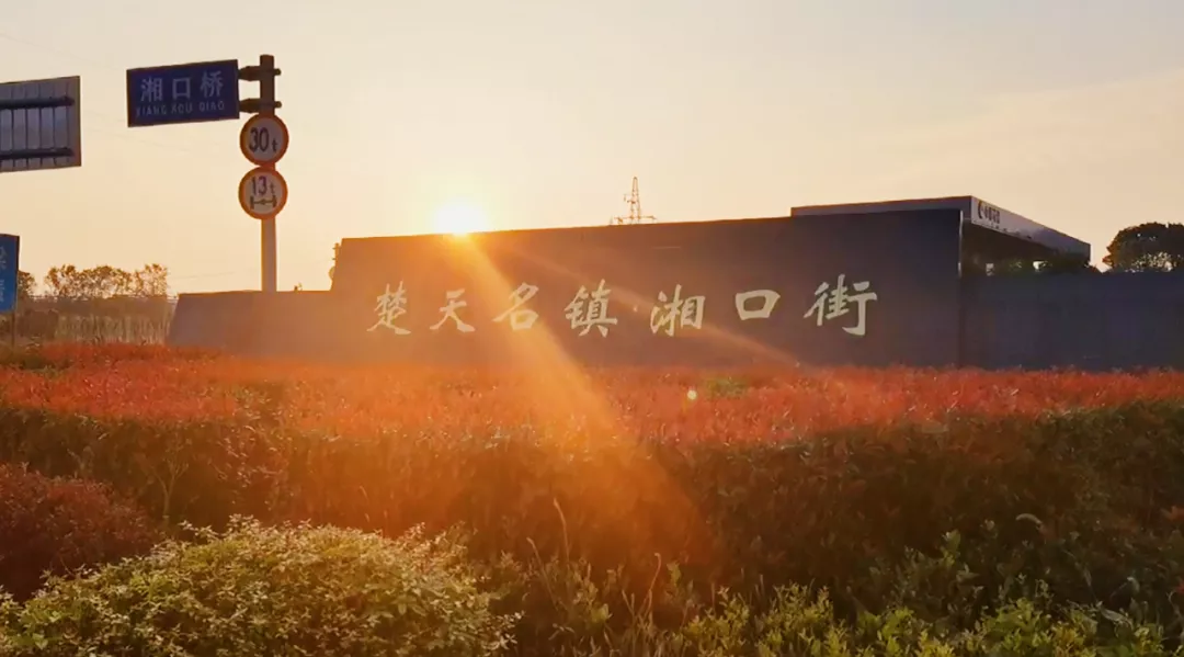 沌口之声 沌口这两个街道将迎大发展