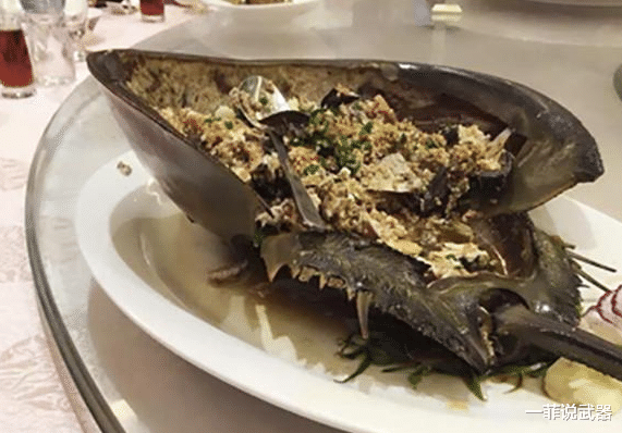  这种动物存在了几亿年，蓝色血液比黄金都贵，差点被人类吃到灭绝