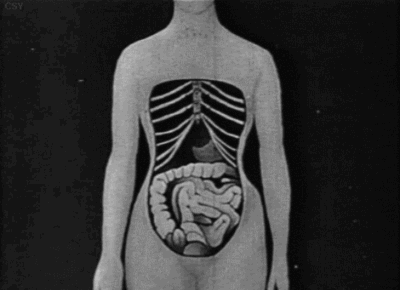 美丽|“内脏下垂、子宫脱落、漏尿...”某红书的网红束腰,把我吓到了