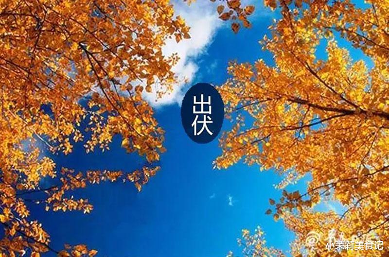 芋头|明日“出伏”，别忘“吃5样喝2样忌2食”，合理饮食秋冬更健康