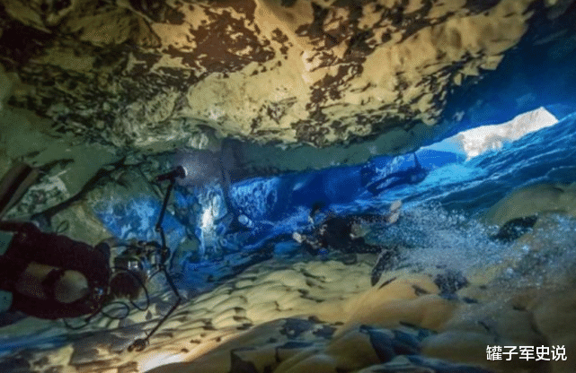 科学家 它们比熊猫还要珍贵,世界仅存38条,曾差点被几个醉汉灭绝
