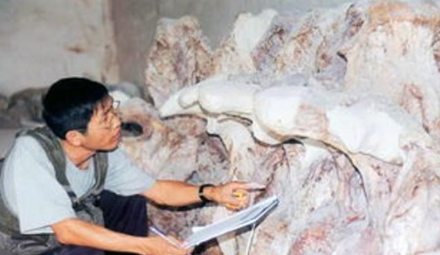 种地挖到一块巨型龙骨石,请教老中医,竟有意外收获