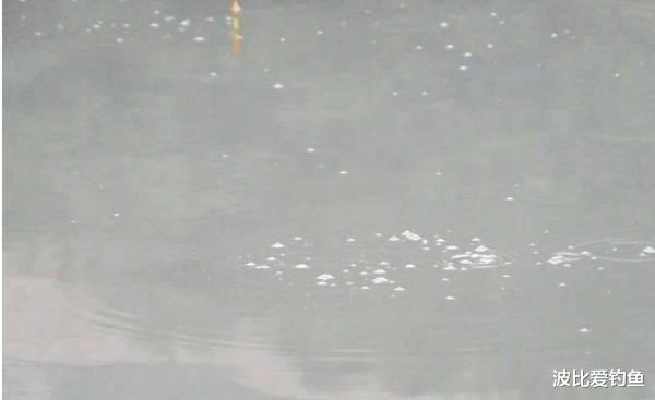 日产轩逸|钓鱼时遇到这个“脏东西”，别错过，用来打窝很不错