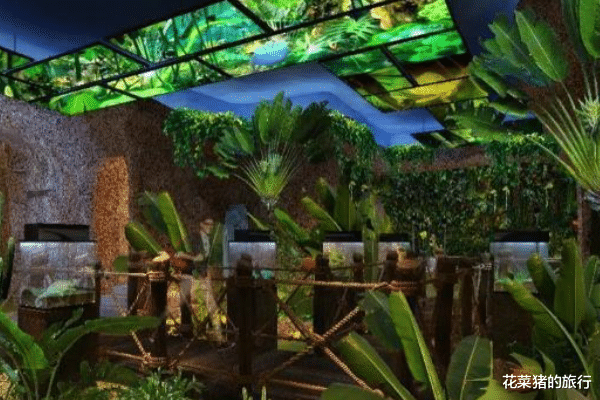 古镇 宁夏5亿“豪赌”建造“假”古镇,五一正式开放,人气不输乌镇