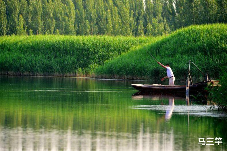 中药|夏天钓鱼也可以泡的中药酒，用时短而且效果好