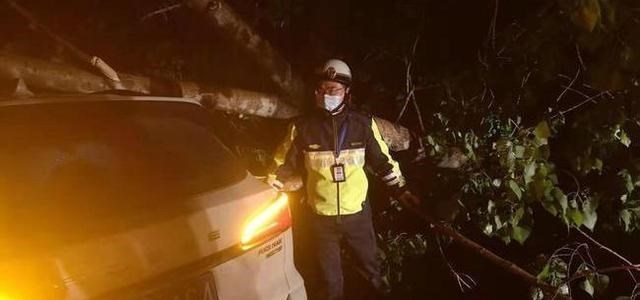 家中大小宝 8车事故4人死亡！事发包茂高速重庆段接龙隧道，越“堵”越重安全
