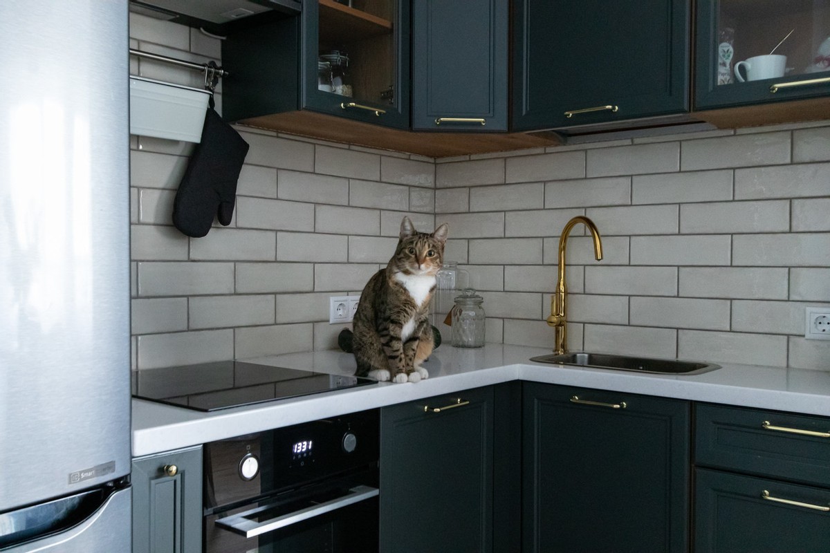 老年小妙招|一家两口挤39㎡小家，奇葩户型极致设计，收纳不输大户型