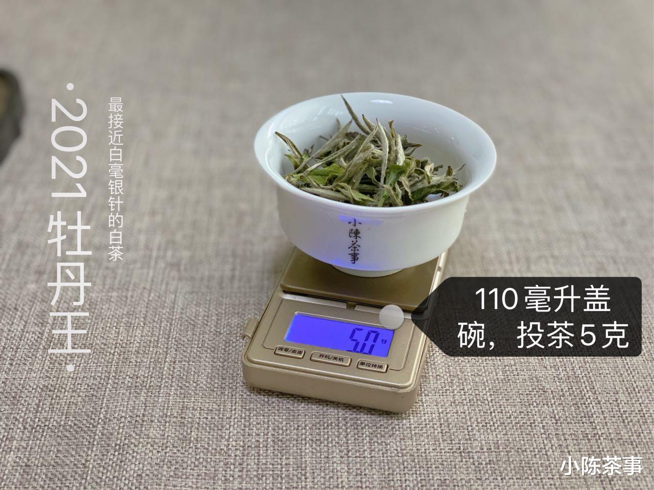 茶具|从白茶分类到茶具选择、冲泡方法,最全的白茶基础知识,快收藏!