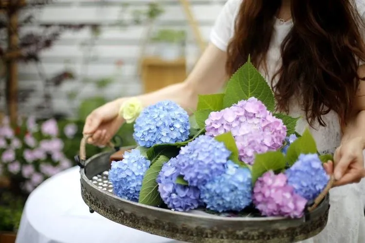 西青|50㎡屋顶露台，花了一年半改造成“空中花园”，太治愈了。