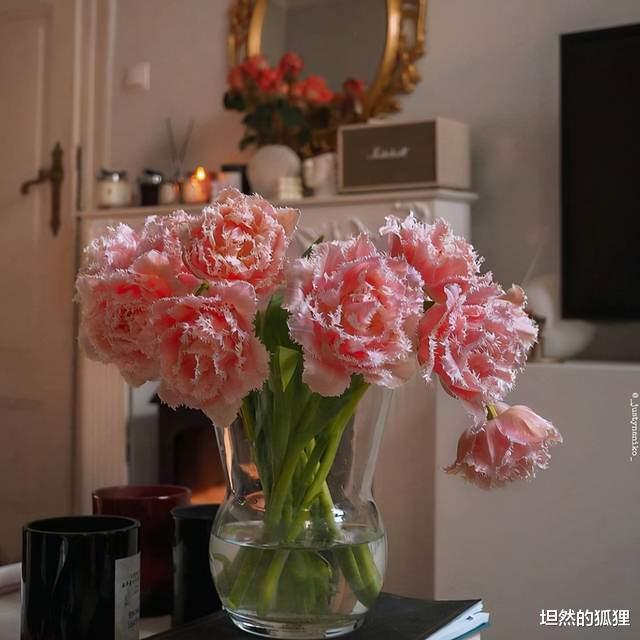 坦然的狐狸 如此“关照”你的人，一定深深爱着你