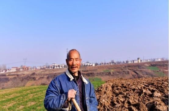 养老金|农民养老金只有数百元?为什么不能额外多涨钱?主要有5大原因