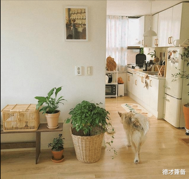 德才兼备|日本90后女主，入住5年，家中依然保持得干净整洁，一个人的幸福