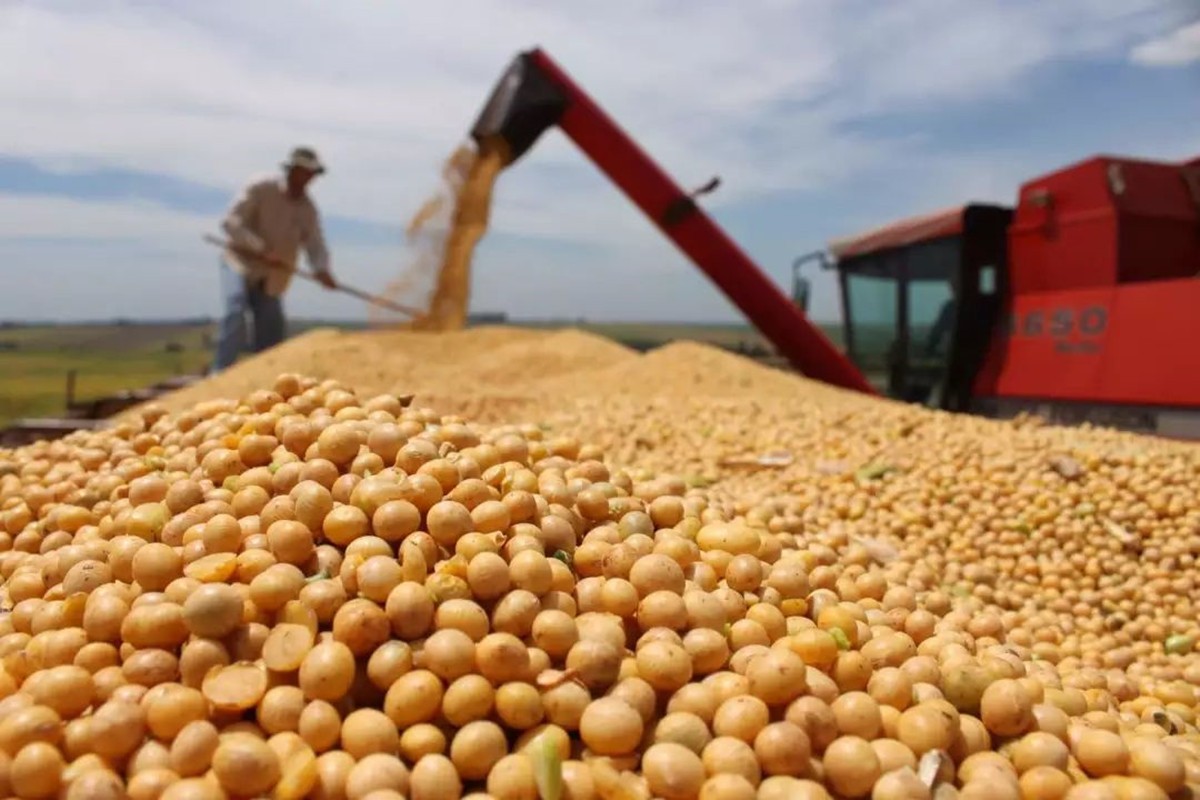 美國威脅發起301調查後，中國取消13.2萬噸大豆訂單，理由很直接-圖3