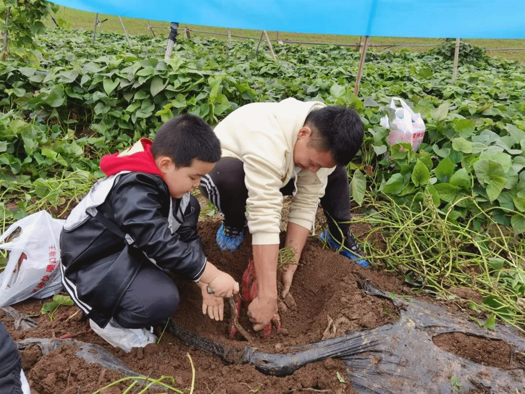 曲江新区 “劳动最光荣！”