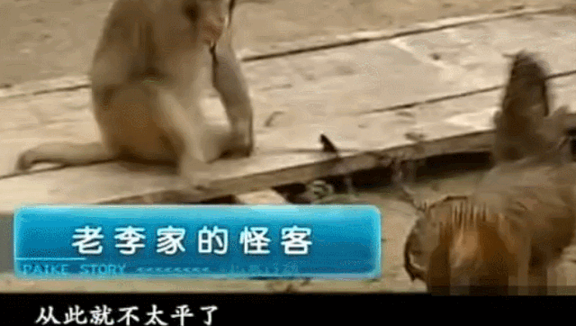 健身养生谈|为何频频失窃？总是深夜惨叫？究竟是人是鬼？→走近科学