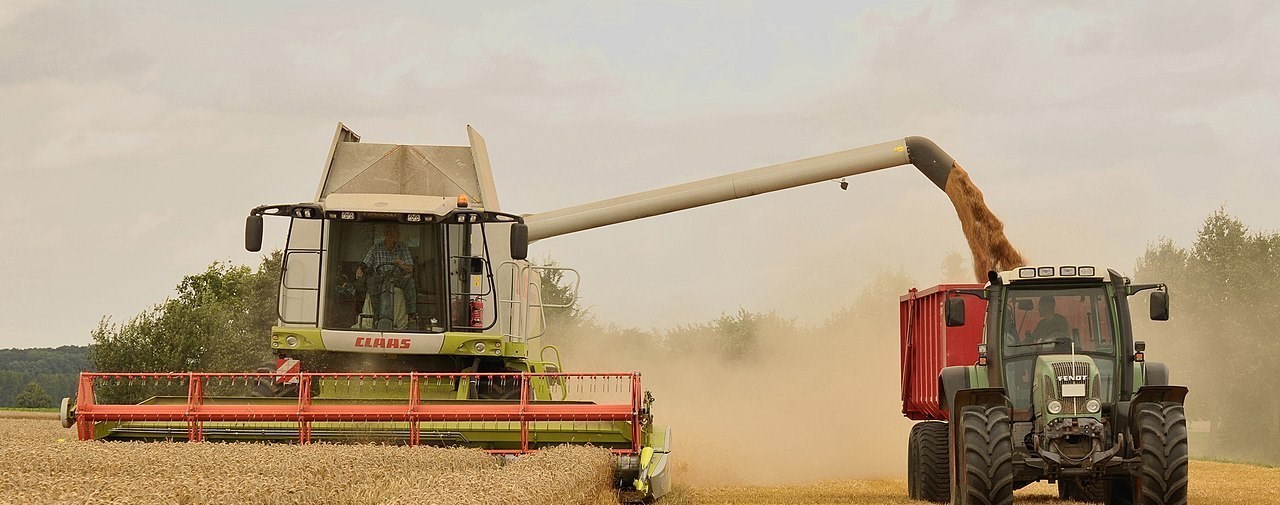 美國的小麥一畝能產多少斤？和中國比較，有多大差距？-圖3