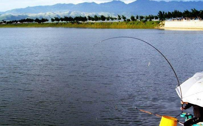 |无法区分的“钓浮”与“浮钓”，看老钓鱼人怎么说？——盛世三渔