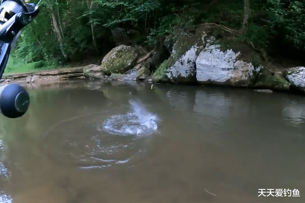 饵料|钓鱼技巧：分享几种“外国进口”的先进钓法，他山之石可以攻玉！