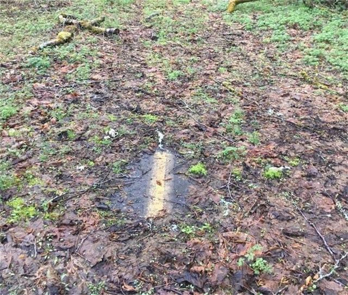 海兔 28个被人类遗忘的角落，最终被大自然无情地反噬