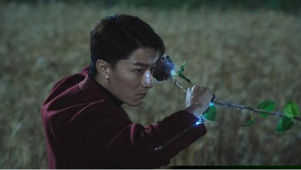 白金|《司藤》都以为白金是树，其实秦放才是，导演一句话便暴露了