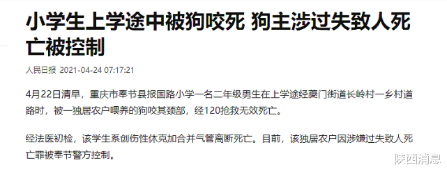 陕西消息 悲剧！重庆8岁男童上学途中被狗撕咬身亡！孩子父亲忍痛发声！