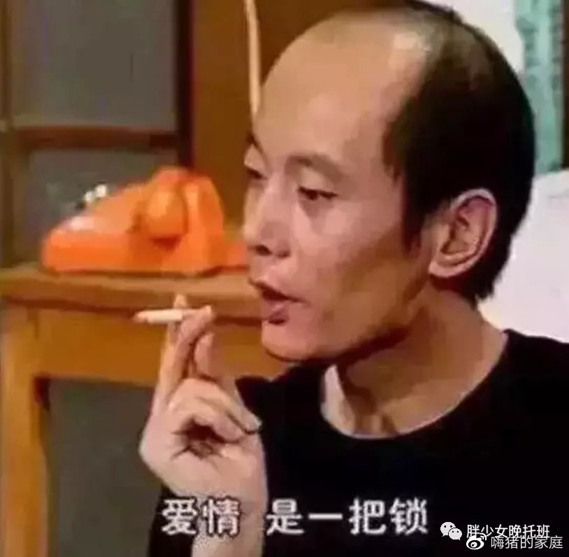 嗨猪的家庭|中年婚姻,重要的是合作愉快