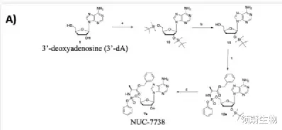  冬虫夏草能抗癌？最新研究来了！已开始临床实验