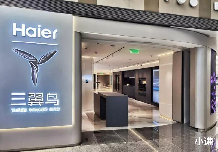 海尔|智能家居“大山”,三翼鸟能飞多高?