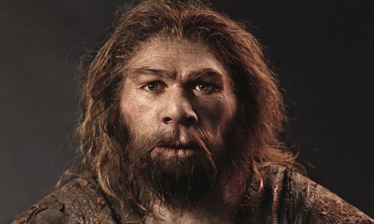 人类的祖先尼安德特人，他们有哪些特征？