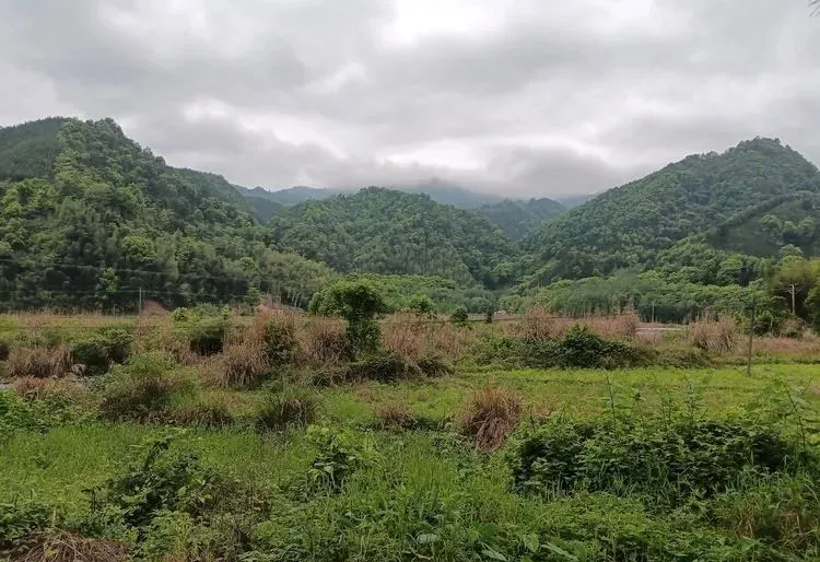 情感事业健康 相地风水：明堂如掌心，家富斗量金