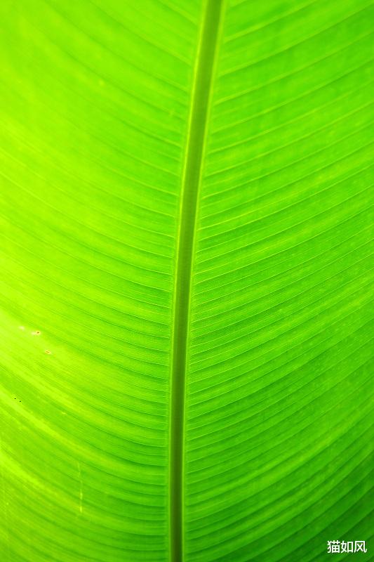  人类的意识其实是宇宙意识的一部分！