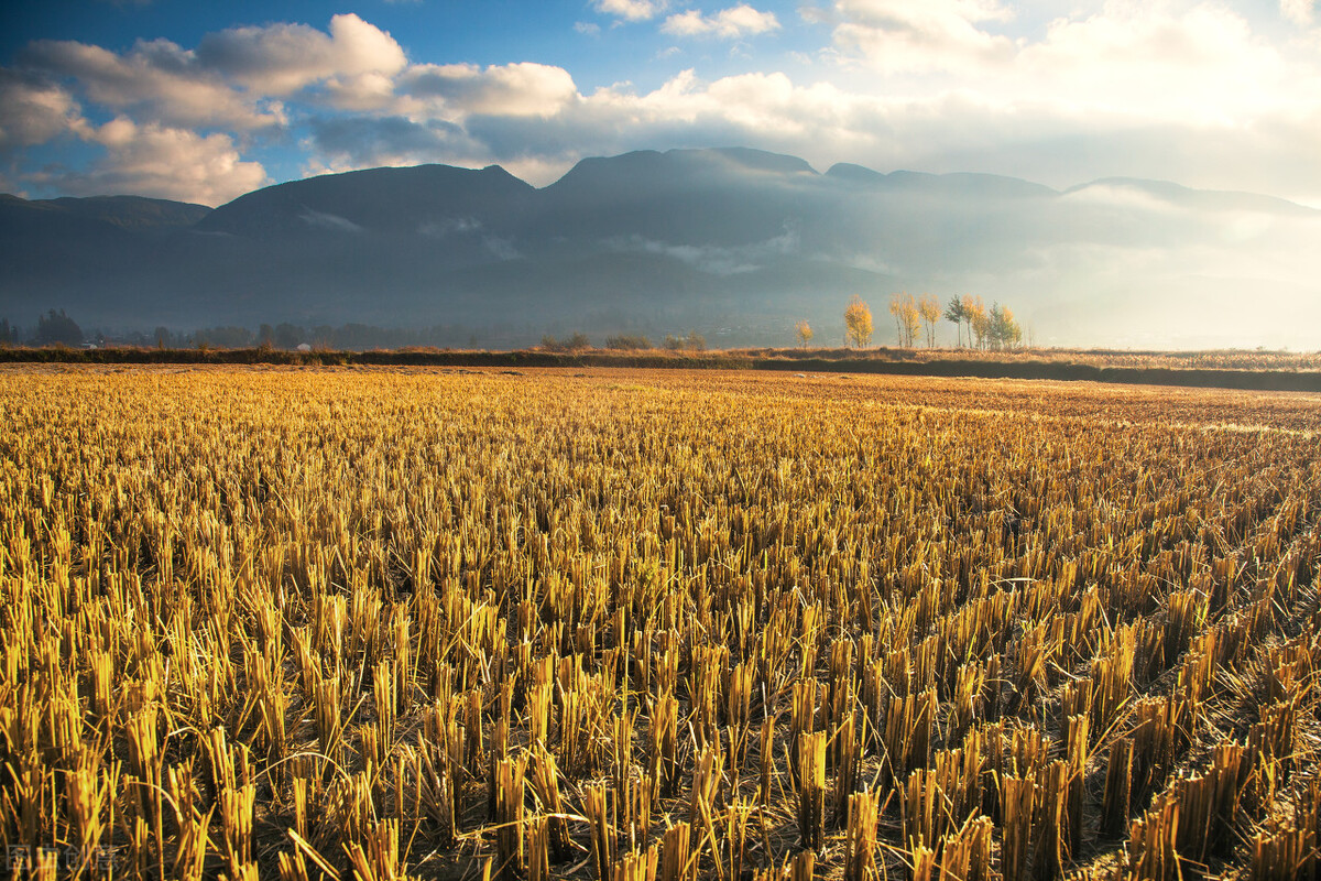 |职场中，很多事情要看穿不要说穿，才不会给自己找麻烦