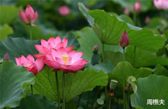 |当你老了，方才知道，靠山只有一个人