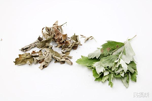 艾草|经常用艾草泡脚，身体能得到什么？每天都泡行不行？养生须知