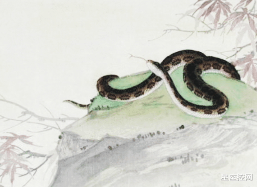 生肖|牛年第一个月，3生肖连续走运，好事成串，每一天乐得合不拢嘴