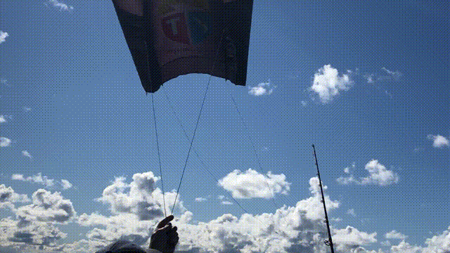 解缙|鱼的记忆是不是只有7秒?在有些鱼的面前,垂钓者就好像是个小丑