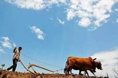 洗碗机|农村发现一户人家的卫生间，装修实在是太先进了，拍给大家瞧瞧