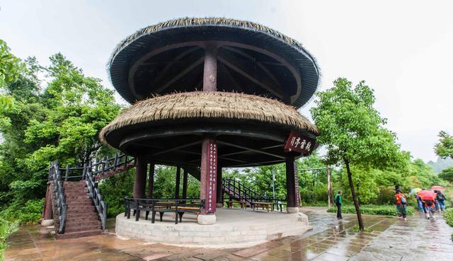 旅行呀文龙 历经2000余年,成就蜀道难中一段“皇柏大道”,如今的翠云廊