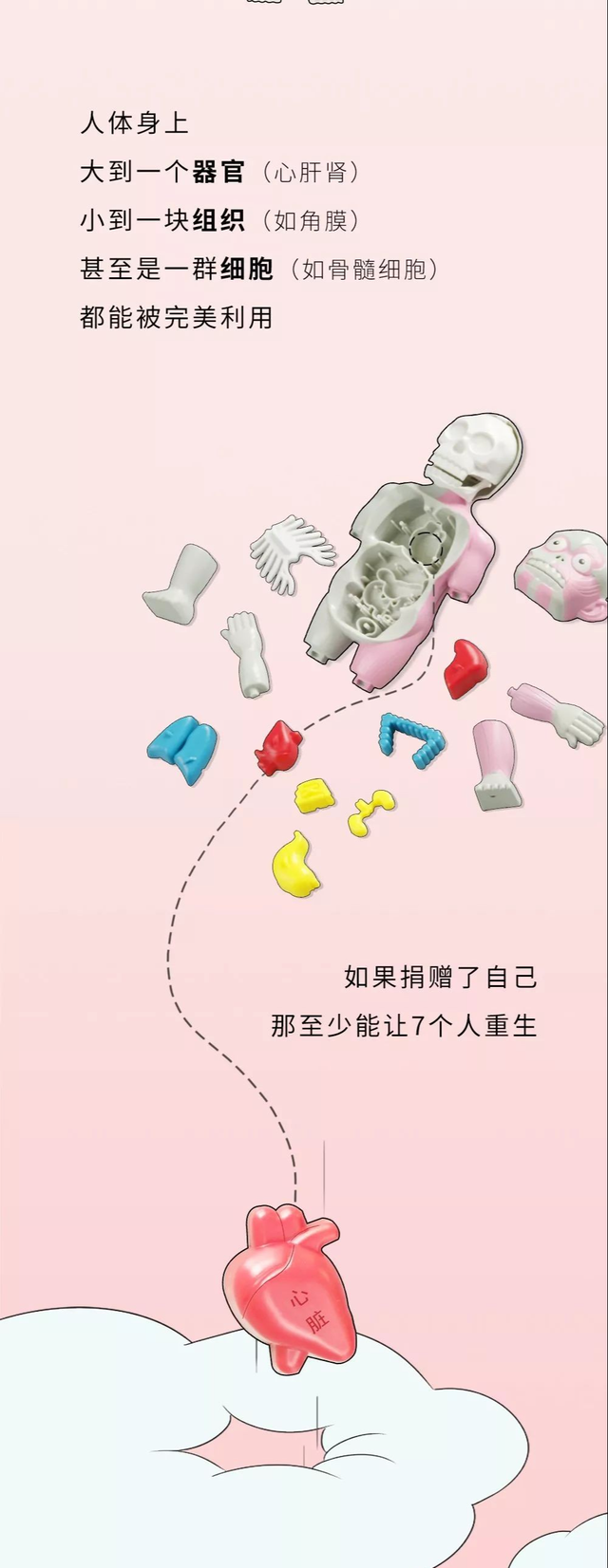  人类在死亡之后，如何处理尸体，才能发挥最大的价值？