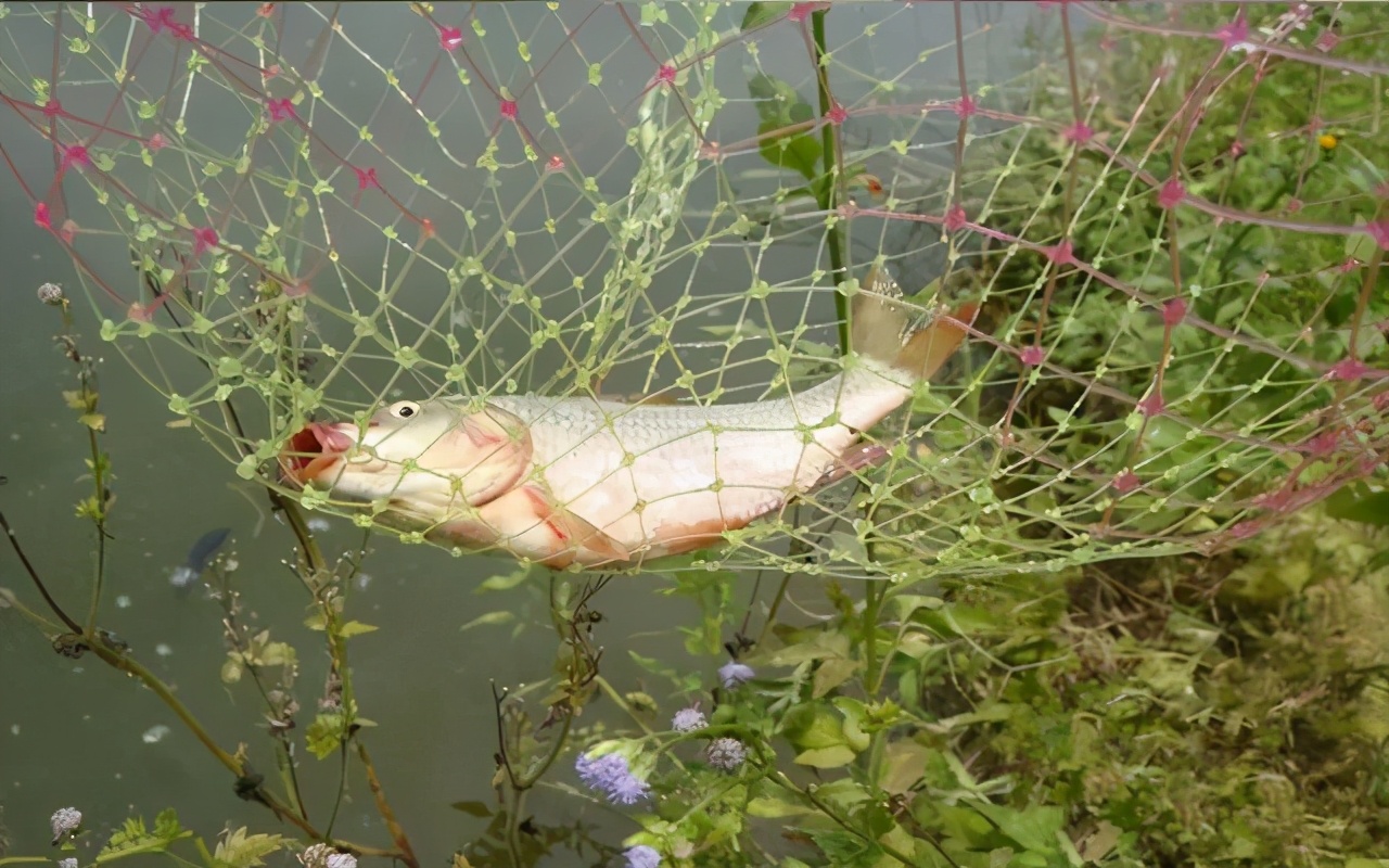 |钓鱼不看风,到头一场空,除了看水温,风向其实也很重要
