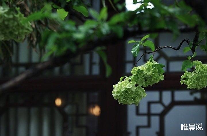 唯晨说|人际关系的最高境界,是既不疏远,也不添乱