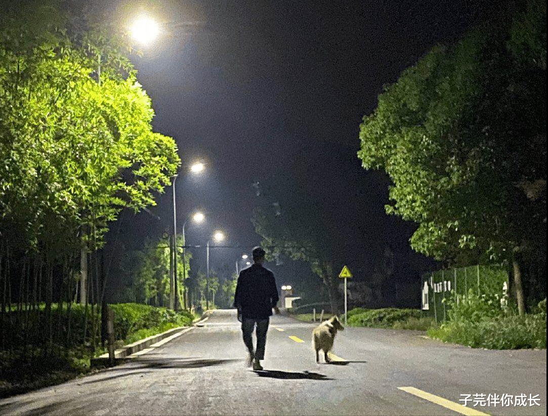 林生斌|林生斌事件再升级，黑板上的数字添疑点，白岩松点评一针见血