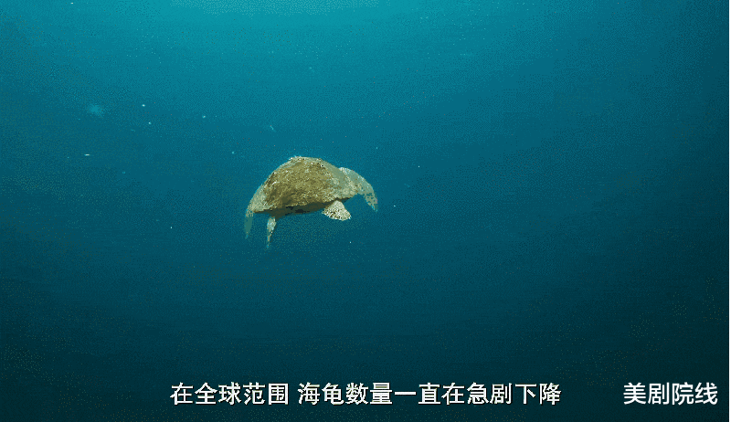 大象 豆瓣9.2，这才是我们现在要看的神作，就该打五星