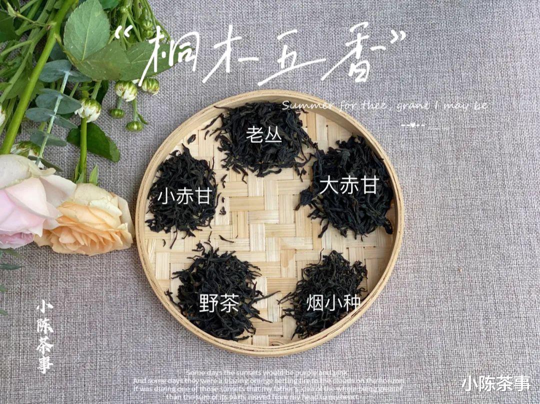 衰老|5年以上的红茶才好喝？盲目推崇“老红茶”，是谁在东施效颦？