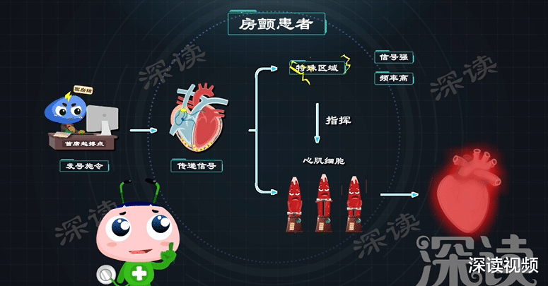 深读视频|心律失常咋回事？心慌胸闷背后真相是啥？房颤发病机制动漫版！