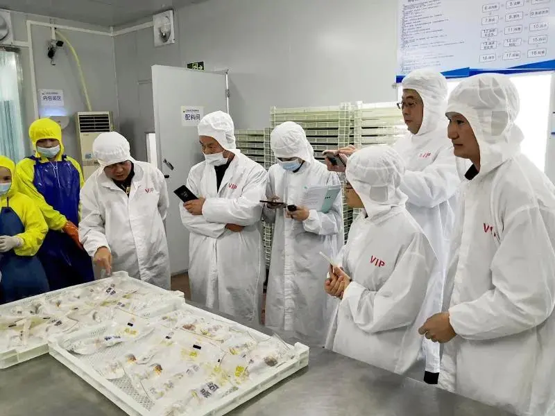 番禺新出彩 番禺将在这里，打造湾区休闲渔业新标杆！