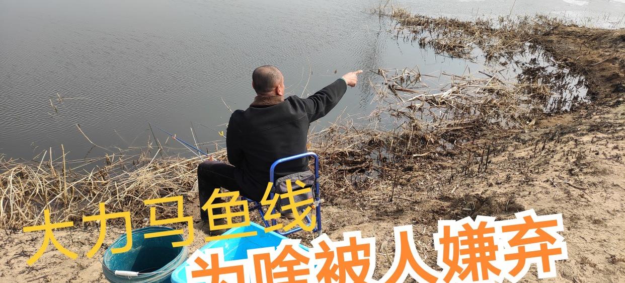 扎心|大力马既柔软又结实,为啥钓鱼人弃之不用呢?真相扎心了老铁