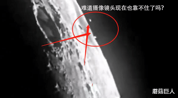 蘑菇巨人|摄像机是花眼了吗?月球上的庞大异星来客,神话和现实的奇怪画面